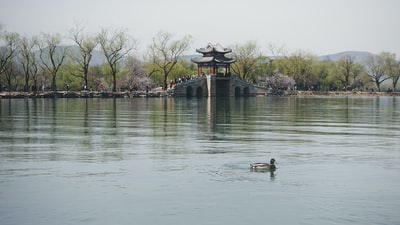 白天湖面上的棕色木质码头